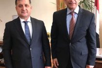 Tajik Ambassador Meets Deputy Minister of Foreign Affairs of Egypt