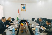 Tajik and Romanian Business Circles Expand Cooperation