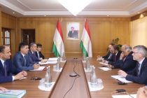 Tajikistan and IMF Discuss Preventing Potential Risks for the National Economy