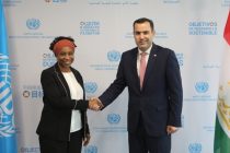 Expansion of Cooperation Between Tajikistan and UN Agencies Discussed in Vienna