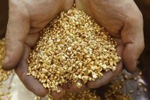 Gold Mining Increased Significantly in Tajikistan