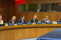 Results of the Second Dushanbe Water Conference Presented at the UN Headquarters