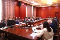 Dushanbe Hosts Meeting of the Permanent Working Group on Attracting Foreign Investment