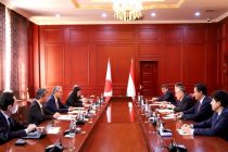 FM Muhriddin Meets Chairman of Tajikistan-Japan Parliamentary Friendship Group