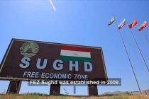 Free Economic Zones of Tajikistan Produce Over 200,000,000 Somoni Worth of Products This Year