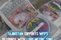 Tajikistan Provided 1,000 Tons of Flour to Afghanistan