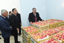 President Emomali Rahmon Reviewed a Cold-storage Warehouse in Bobojon Ghafurov