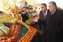 President Emomali Rahmon Visits Exhibition of Agricultural Products in Bobojon Ghafurov in Bobojon Ghafurov