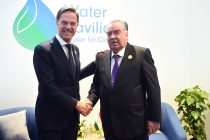 President Emomali Rahmon Meets with Prime Minister of the Kingdom of the Netherlands in Sharm El Sheikh