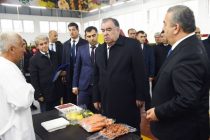 President Emomali Rahmon Acquainted with the Activities of the Dehai Man Enterprise in Bokhtar