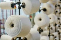 Tajikistan Increases Export of Cotton Fiber by Almost 50%