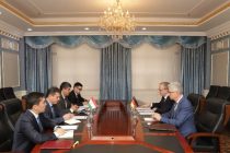 Tajikistan and Germany Discuss Cooperation