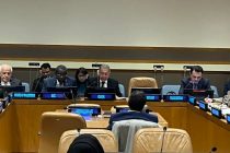 OIC Group Member States Supported Tajikistan’s Candidature for the Non-Permanent Membership of the UN Security Council