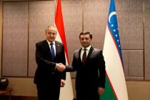 Tajik and Uzbek FMs Discuss Cooperation within International and Regional Organizations