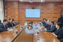 Implementation of State Investment Projects Discussed in Dushanbe