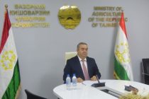 Representative of Tajikistan Attends the Central Asian Agriculture Ministers