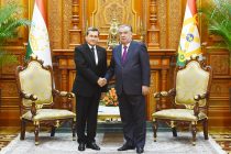 Emomali Rahmon Receives Deputy Chairman of the Cabinet of Ministers, Minister of Foreign Affairs of Turkmenistan Rashid Meredov