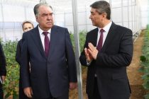 President Emomali Rahmon Attends Commissioning Ceremony of Innovative Greenhouse in Levakant