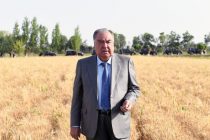 President Emomali Rahmon Visits Boboi Alimardon Farm in Shahritus district
