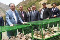 Head of State Emomali Rahmon Opens a Nursery for Keeping Rare Animals
