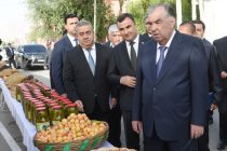 President Emomali Rahmon Visits the Exhibition of Agricultural Products of Vanj District