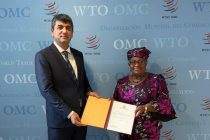 Permanent Representative of Tajikistan Presents Credentials to the WTO Director General