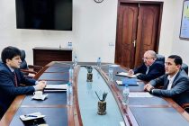 Tajikistan and Uzbekistan Discuss Industry Cooperation