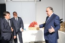 President Emomali Rahmon Participated in a Ceremony to Commission the Cold Store in Muminobod District