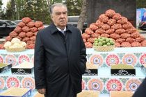 President Emomali Rahmon Visits the Exhibition of Agricultural Products in Rudaki District