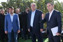 President Emomali Rahmon Got Acquainted with the Course of Growth of Shady and Decorative Trees in the National Park