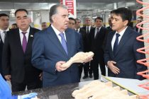 The Head of state Participated in Inauguration of a Workshop for Production of Soft Chairs «Archa» in Khujand
