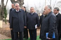 Leader of the Nation Emomali Rahmon Visits Rajabali Private Farm in Yovon