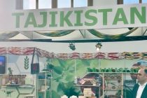 Industrial and Agricultural Products, Economic and Trade Potential of Tajikistan Presented in Berlin