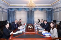 Issues of Preparing Meetings within Central Asia + Japan Dialogue Discussed in Dushanbe