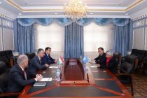 Cooperation between Tajikistan and the UN Structures Discussed in Dushanbe