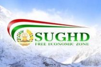 Six New Entities Created in the Sughd Free Economic Zone in 2023