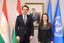 Tajikistan and UNICEF Discuss Joint Activities