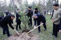Diplomatic Corps in Tajikistan Attended a Landscaping Campaign in Sadriddin Ayni Park