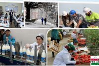 Number of Unemployed Citizens Decreases in Tajikistan