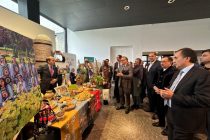 Tajik Embassy Hosts Navruz Celebration in Germany