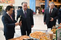 Presentation of Tajik Varieties of Apricots and Grapes at the FAO Headquarters in Rome