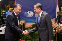 Prime Minister of Tajikistan Kohir Rasulzoda Meets President of Indonesia Joko Widodo