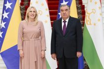 The Head of state Emomali Rahmon meets with member of the Presidency of Bosnia and Herzegovina Mrs. Željka Cvijanović