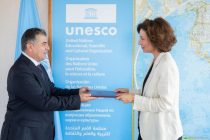 Permanent Representative of Tajikistan Presents Credentials to UNESCO Director-General