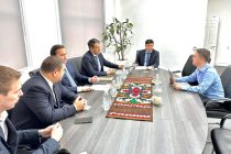 Opening Direct Flights between Dushanbe and London Discussed in UK