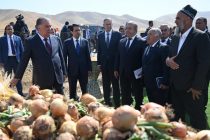 President of Tajikistan Emomali Rahmon inspects fields in Dangara district