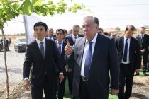 The Head of state Emomali Rahmon visits «TOJ-AGRO» in Mir Sayyid Ali Hamadoni district