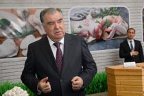 President Emomali Rahmon attended the opening ceremony of a new factory for the production of chicken meat and sausage in Khujand