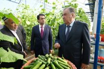 The Head of state Emomali Rahmon attended the opening ceremony of the brick and pipe plants in the city of Tursunzoda