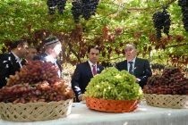 Leader of the Nation Emomali Rahmon visits the vineyards in the “Boghi Somon” Farm in Tursunzoda